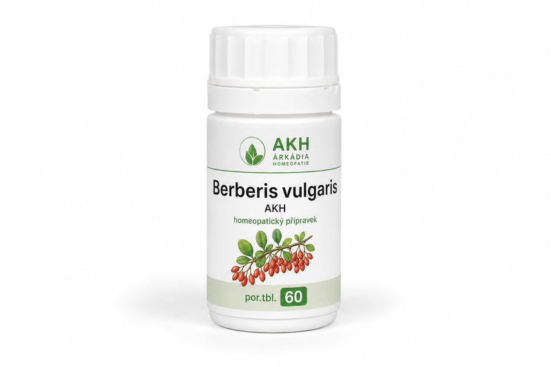 Berberis vulgaris AKH por.tbl.60