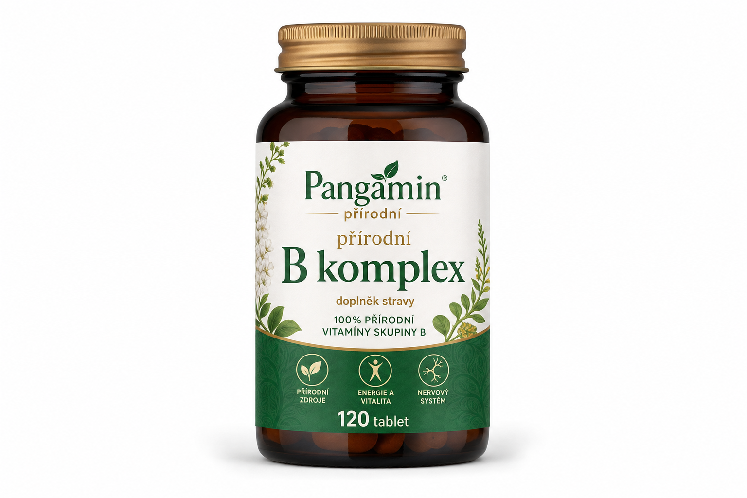 Pangamin přírodní B komplex tbl.120