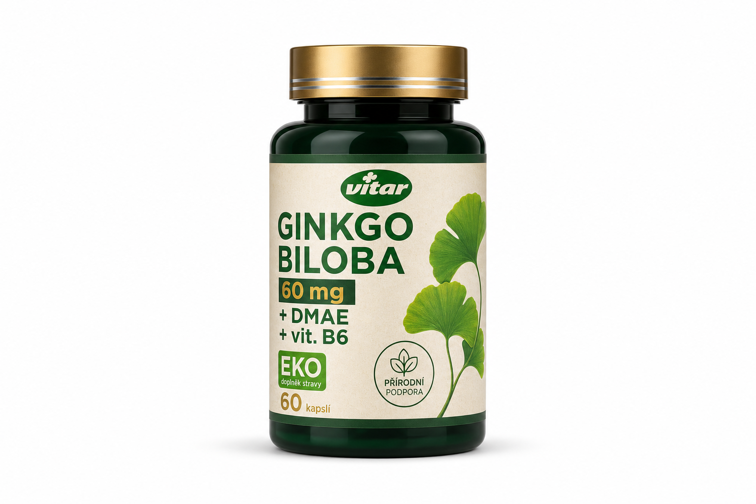 VITAR Ginkgo biloba 60mg +DMAE +vit.B6 EKO cps.60