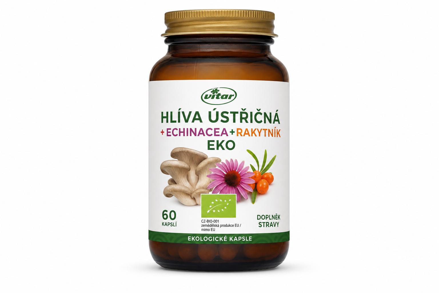 Vitar Hlíva ústřičná+echinacea+rakytník EKO cps.60
