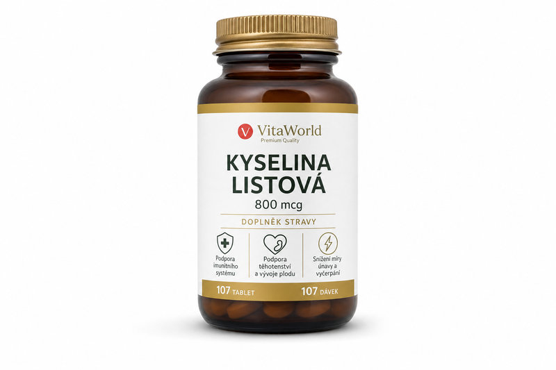 Kyselina listová 800mcg tbl 107